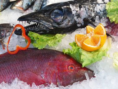 Roher Degenfisch und fangfrischer Fisch auf Eis mit Salatblatt, einer Scheibe Paprika und einer aufgeschnittenen Orange