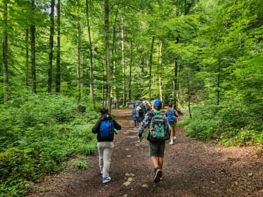 Gruppe von Wanderern mit Rucksäcken auf einem Waldweg durch einen grünen Wald in Köstendorf im Sommer.