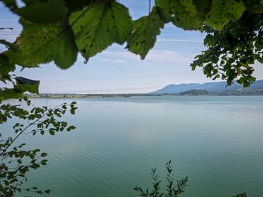 View of Kochelsee lake with calm turquoise water, framed by green leaves. Mountains and shoreline visible in the distance under a blue sky.