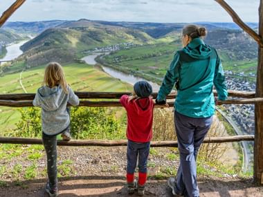 Blick auf die Moselschleife Blick auf die Moselschleife