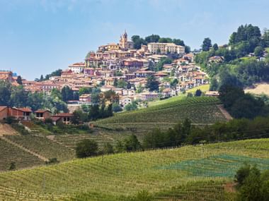 Montforte d'Alba im Piemont in der Langhe-Region, mit historischen Gebäuden auf einem Hügel, umgeben von terrassierten Weinbergen.