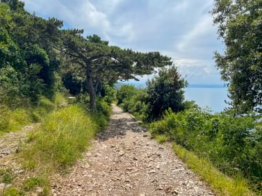 Beautiful hiking trail at Vedetta Weiss with a view of the sea
