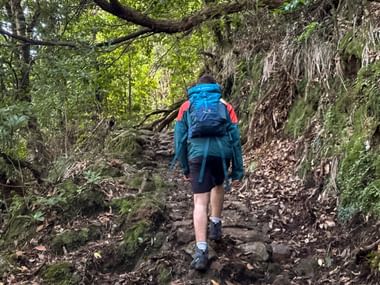 Hiker with blue backpack ascending rocky trail on Pico Ruivo in Madeira, surrounded by lush forest and moss-covered rock walls.