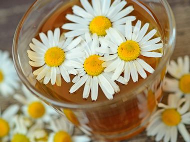 Four camomile blossoms in a cup of camomile tea