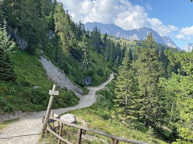 Ausblick auf den Wanderweg