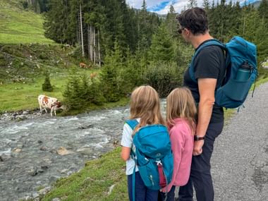Father with two daughters watching cows by a mountain stream in Saalbach-Hinterglemm. Green alpine meadows and forest in background.