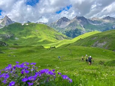 Wanderer wandern auf grünen Almwiesen