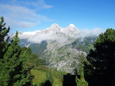 Ausblick auf die Alpspitze und Hochblassen