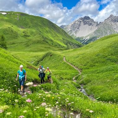 Hikers on an alpine meadow on the stage from Steeg to Landeck