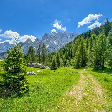 Wanderweg in Kranjska Gora