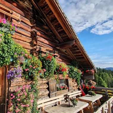 Pitschenbergalm auf der Postalm