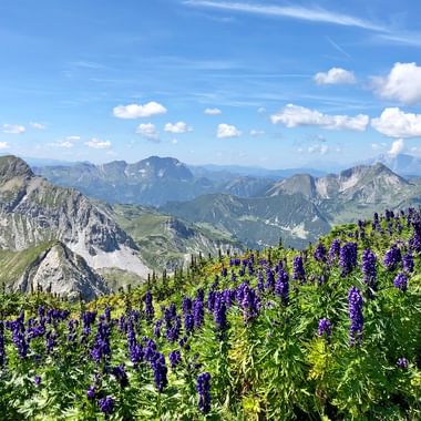 Bergpanorama