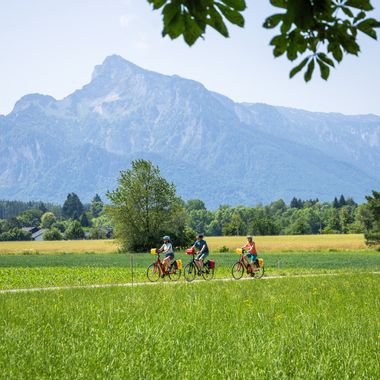 Cyclists on the Alpe Adria Cycle Path