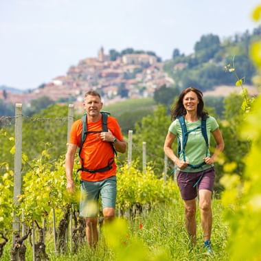Hikers in the vineyards near Montforte