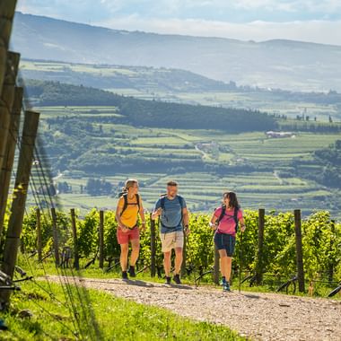3 hikers in the Valpolicella vineyards