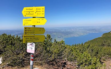 Wegweiser mit Blick auf den Attersee