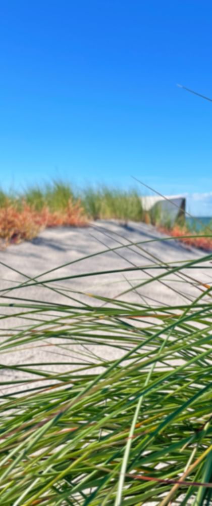 Beach near Graal-Müritz on the Baltic Sea