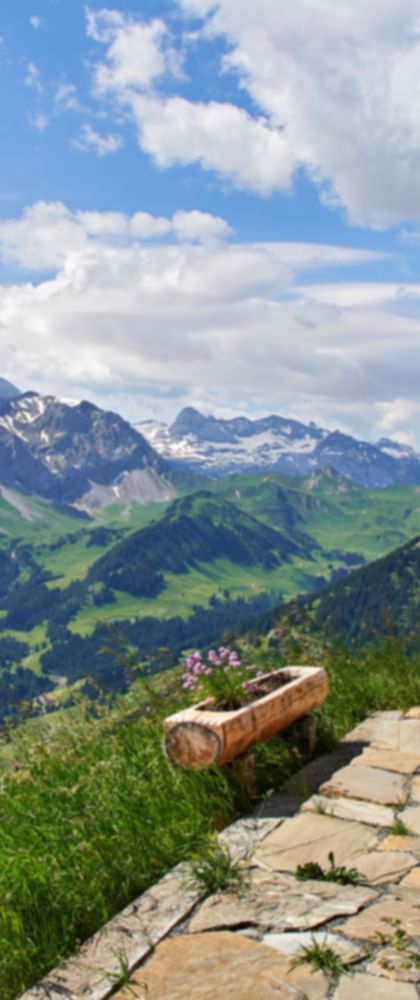 Alpine hut at Adelboden