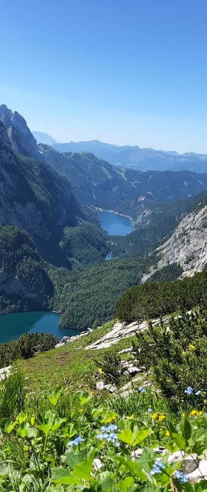 Viewpoint with a view of Lake Gosau