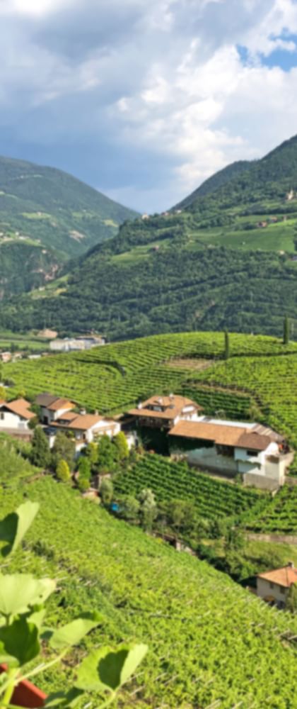 Panoramic view over St. Magdalena and its vineyards