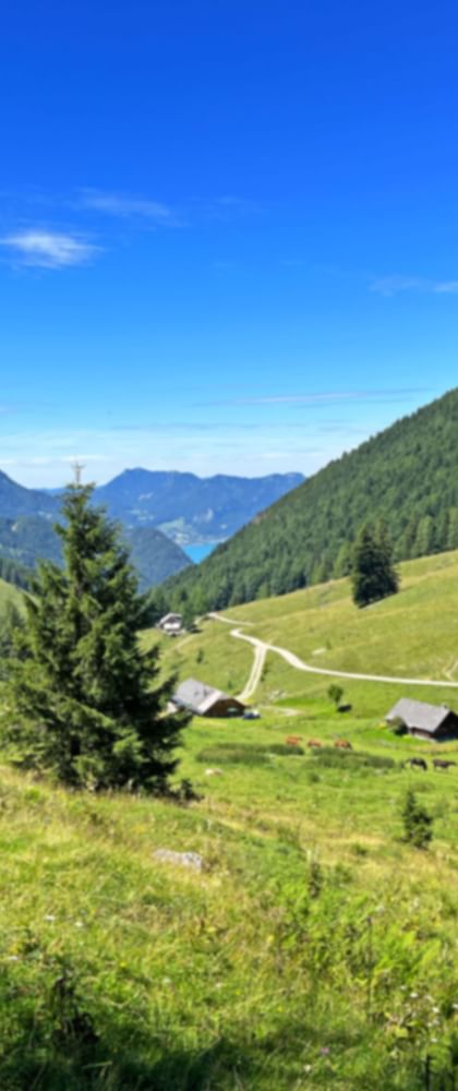 The Niedergadenalmen