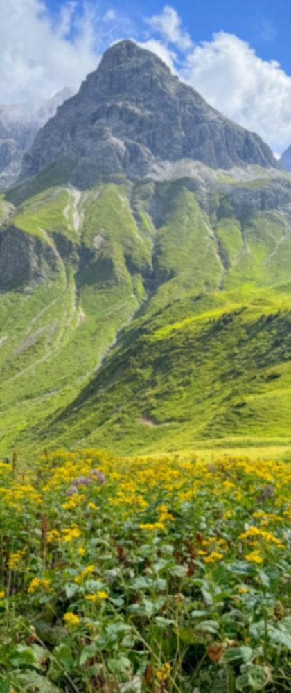 Blick auf den Muttlerkopf von der Kemptner Hütte