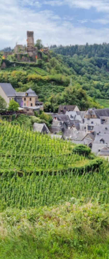 Blick auf die Burg Metternich bei Beilstein an der Mosel