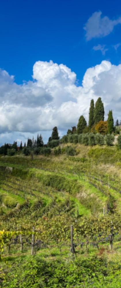 Greve in Chianti