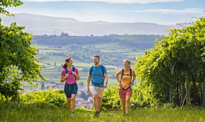 Hiking in Venetia