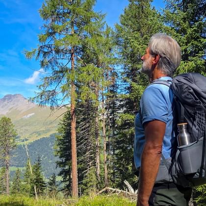 Hiker with backpack viewing mountain landscape through conifer trees. Alpine peaks visible in distance under blue sky on Munich-Venice trail.