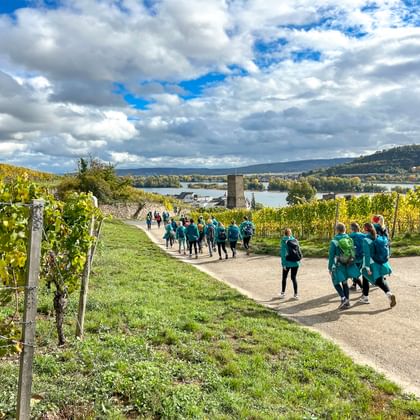 Company outing in Ruedesheim