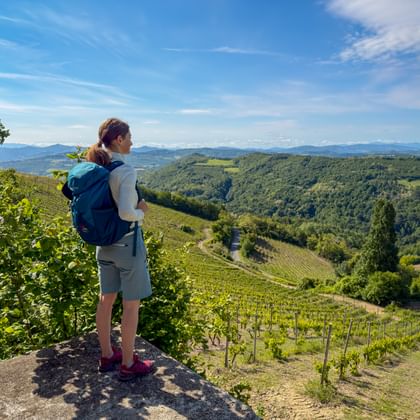 Female hiker with blue backpack standing on rock near Benevello, overlooking rolling hills with vineyards in Piedmont under blue sky.
