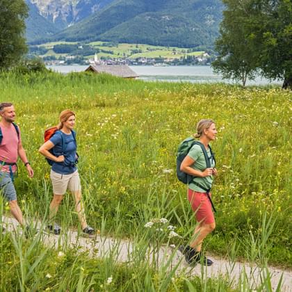Drei Wanderer mit Rucksäcken gehen durch eine Wildblumenwiese bei Abersee am Wolfgangsee, mit Bergen und dem See im Hintergrund.