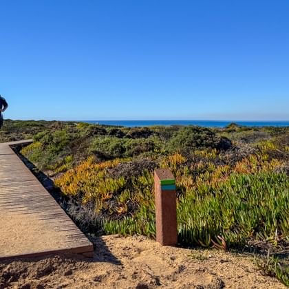 Wanderer auf Holzsteg durch Küstenvegetation auf der Rota Vicentina im Alentejo, Portugal. Ozean in der Ferne unter blauem Himmel sichtbar.