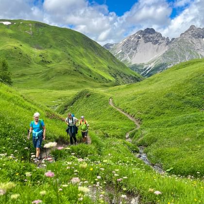 Hikers on an alpine meadow on the stage from Steeg to Landeck