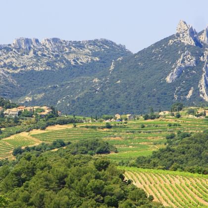 Montmirail landscape overlooking the fields