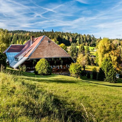 Farmhouse in the Black Forest