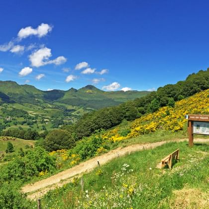 Hiking trail through the hilly landscape