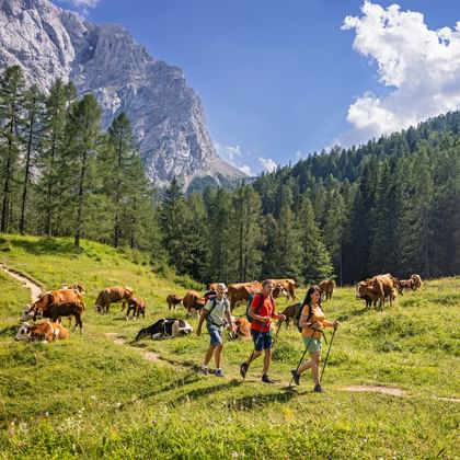 Hiker Vršič Pass
