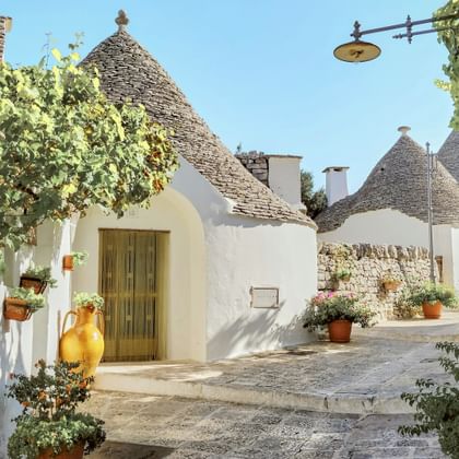 Sonnige Straße in Alberobello mit weiß getünchten Trulli-Häusern mit konischen Steindächern, Blumentöpfen und einem kleinen Baum.