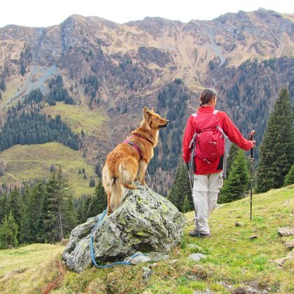 Wanderrast beim Wandern mit Hund in den Pinzgauer Bergen