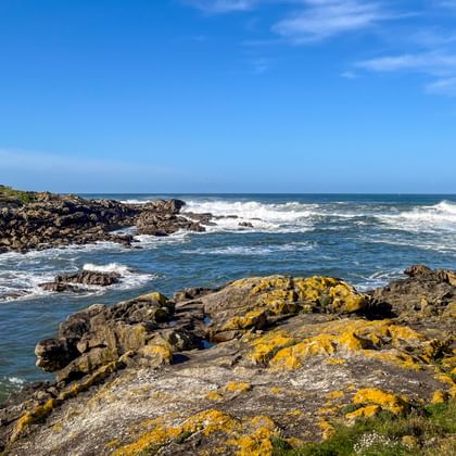 Rocky coastline with yellow lichen-covered stones at A Guarda. White waves crash against dark rocks, houses visible on green hillside.