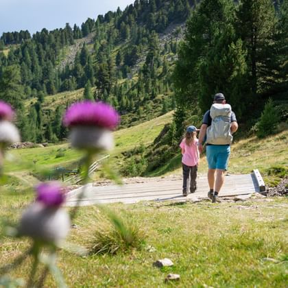 Hiking family on the Haideralm in South Tyrol
