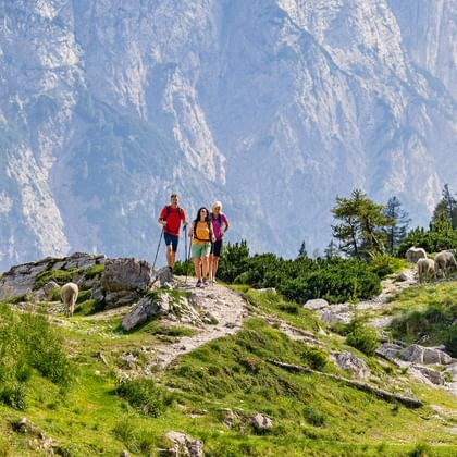 Wanderer am Vrsic-Pass mit dem Bergpanorama im Hintergrund