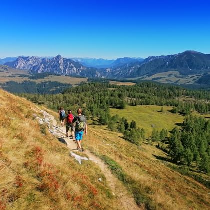 Three hikers walking on a mountain trail at Postalm near Pitschenberg with alpine meadows, forests, and rocky peaks under clear blue sky.