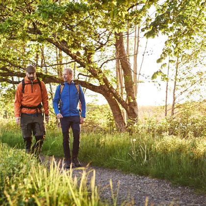 Two hikers on an idyllic forest path at Gotaleden
