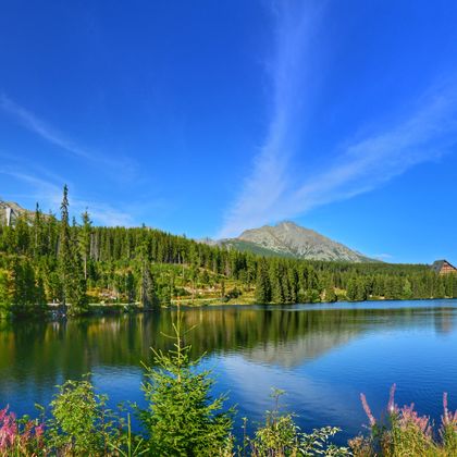 Blick auf einen See, umgeben von Wäldern, im Hintergrund eine Sprungschanze und Berge