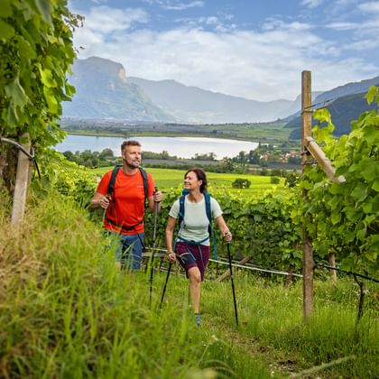 Two hikers with backpacks walking through vineyard rows in South Tyrol, with Kaltern Lake and mountains visible in background.