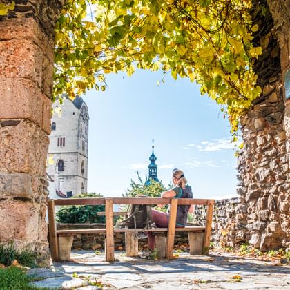  Wanderpause unter Weinreben in Stein im Kremstal