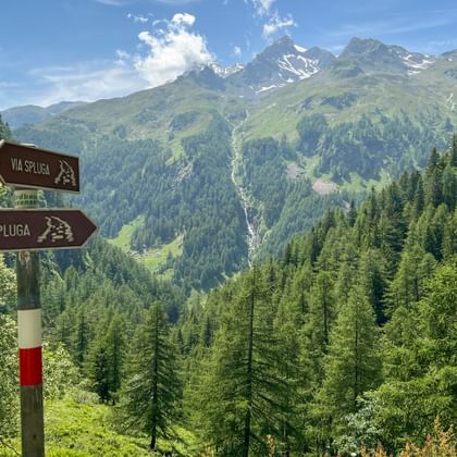 Wooden trail signs pointing to Via Spluga hiking route with snow-capped Alpine peaks, green forested valleys, and blue sky in Switzerland.